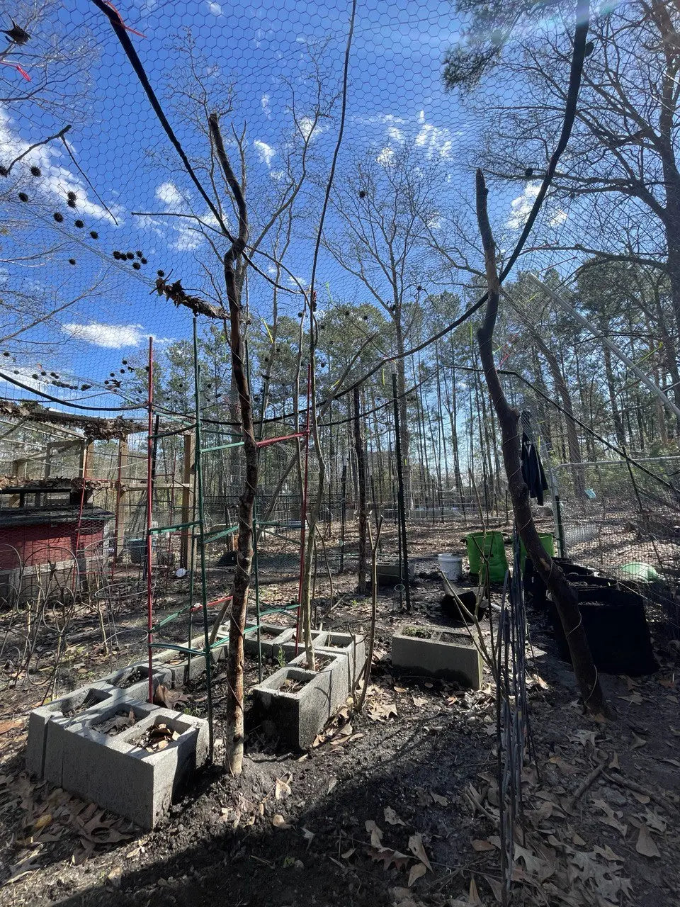 But It’s About to Be Winter… Veden Ancestral Wellness