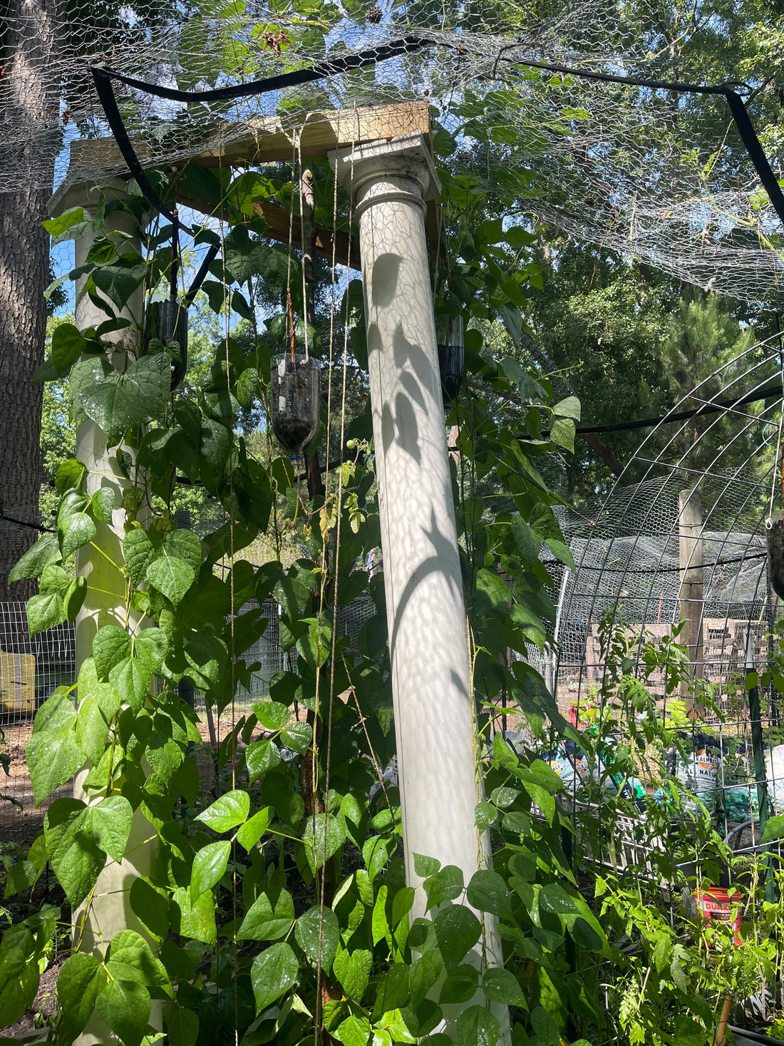 Why Choose an ElectroFreedom Antenna? Veden Ancestral Wellness