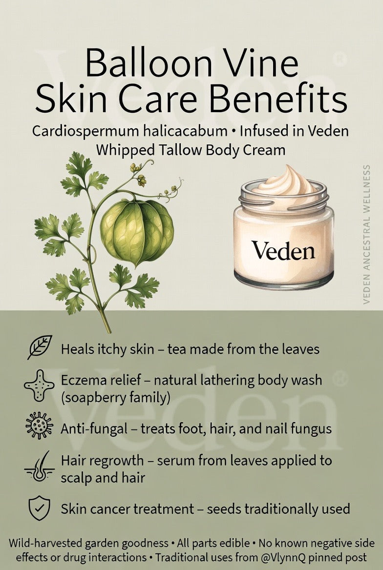 Veden Classic Whipped Tallow Body Cream - 8 oz Veden Ancestral Wellness