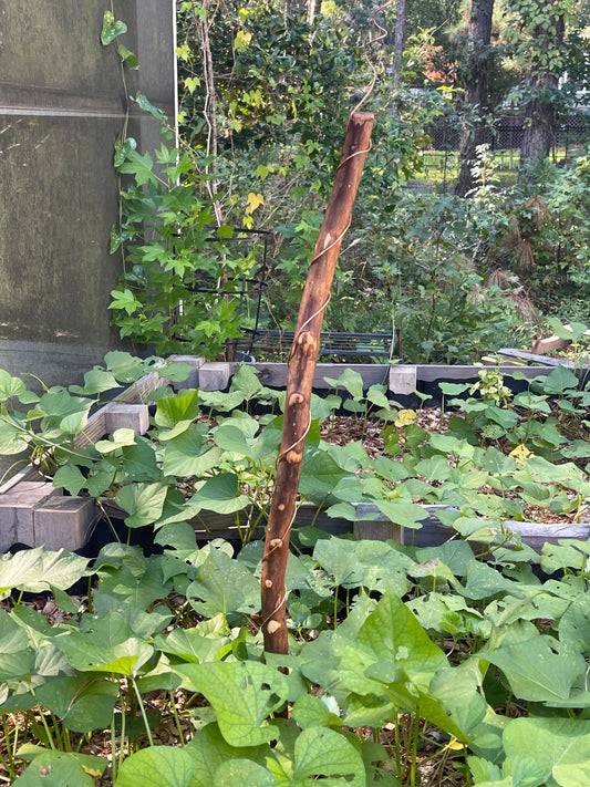 42” Yankee ElectroFreedom Electroculture Antenna Freedom Gardens Electroculture